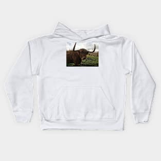 Scottish Highland Cattle Cow 2149 Kids Hoodie